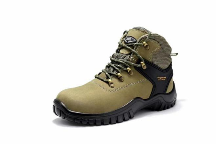 ԓ����p���I�����_�Ąڱ�Ь���м��ɵ�