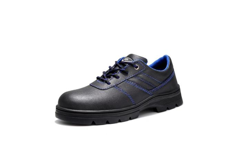 ���z�׷��ҷ����̄ڱ�